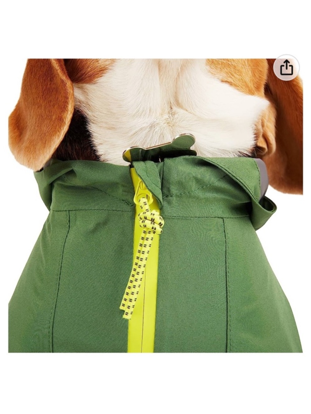 Backcountry x Petco Green Rain Dog Jacket in Green Size XL - Picture 3 of 12